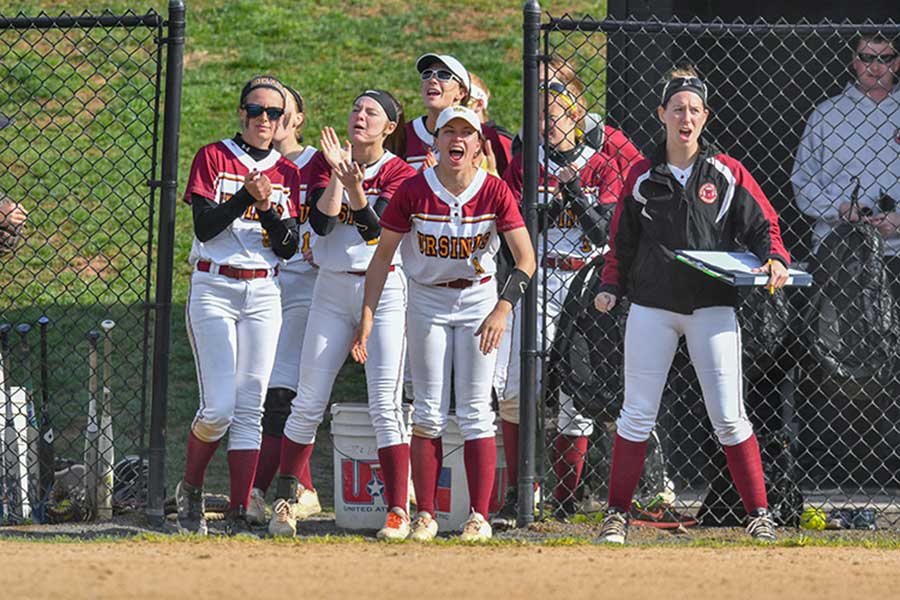 Ursinus College Softball Camps